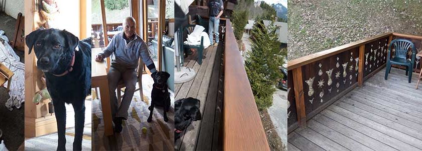 Wednesday 20 April 2016