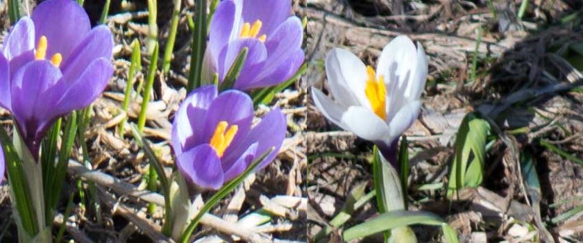 Thursday 14 April 2016