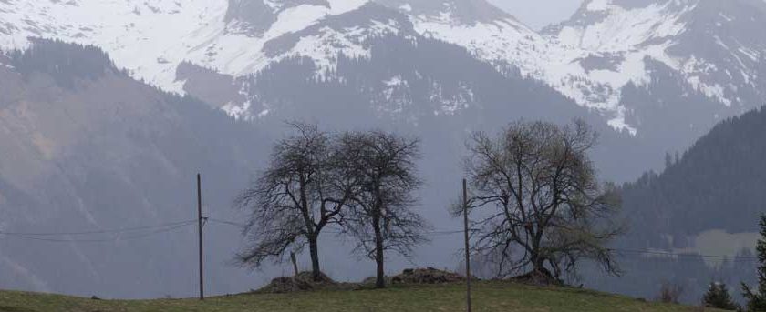 Friday 15 April 2016