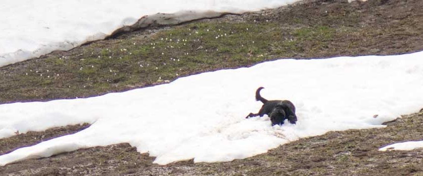 Saturday 16 April 2016