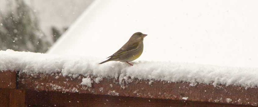 Monday 18 April 2016