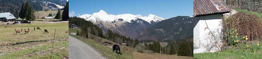 Tuesday 19 April 2016