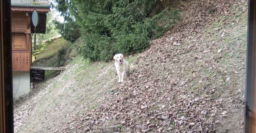 Tuesday 12 April 2016