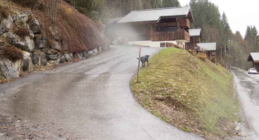 Wednesday 13 April 2016